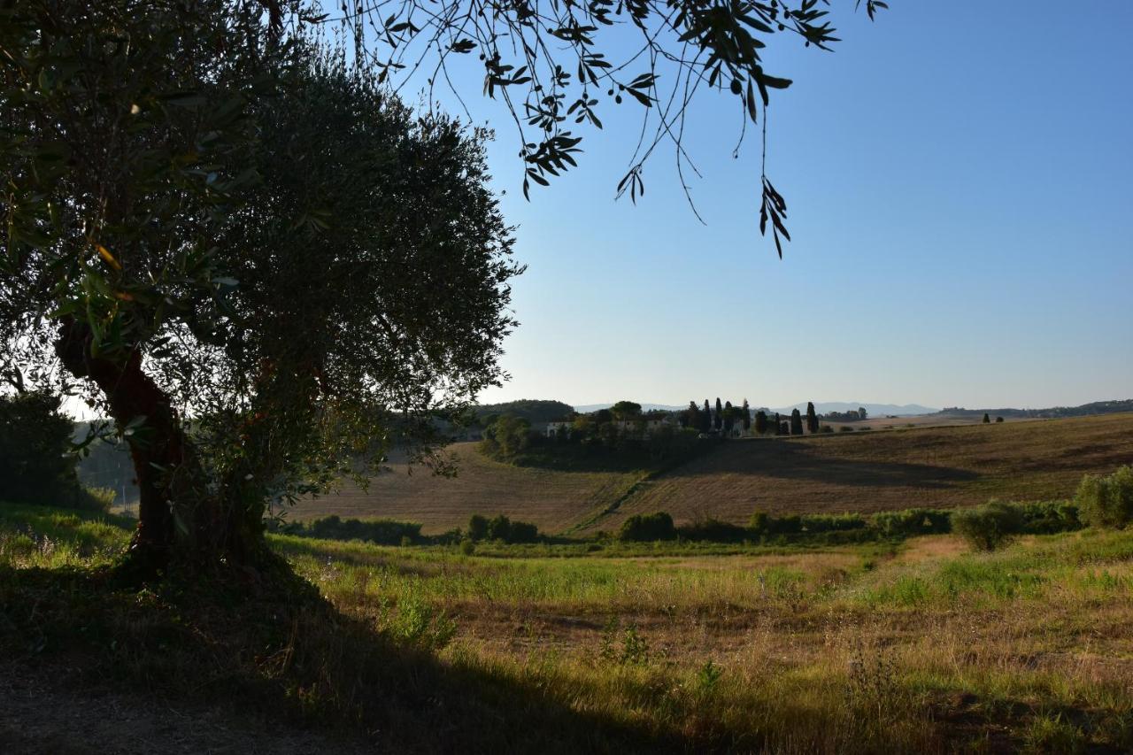Agriturismo Cheloni Guasticce Exterior foto