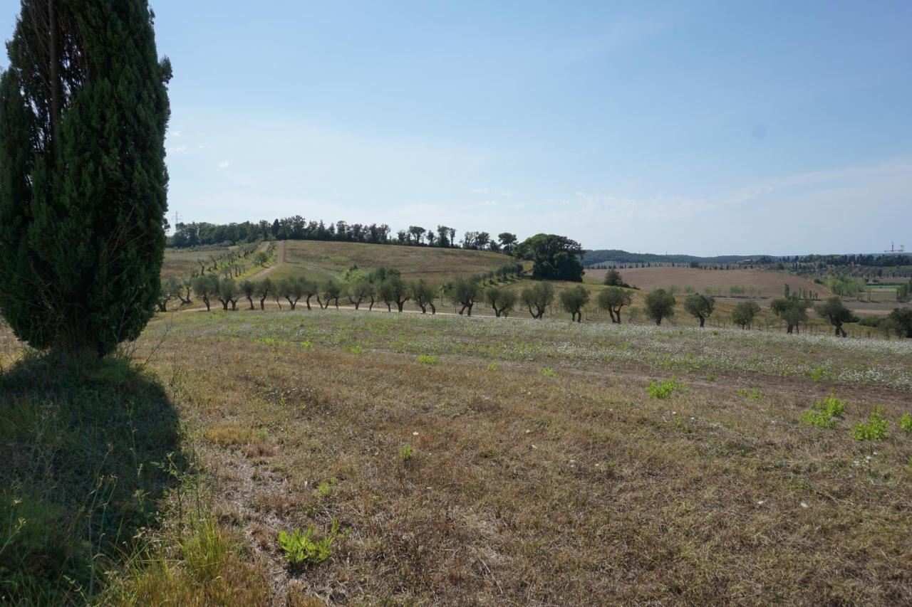 Agriturismo Cheloni Guasticce Exterior foto